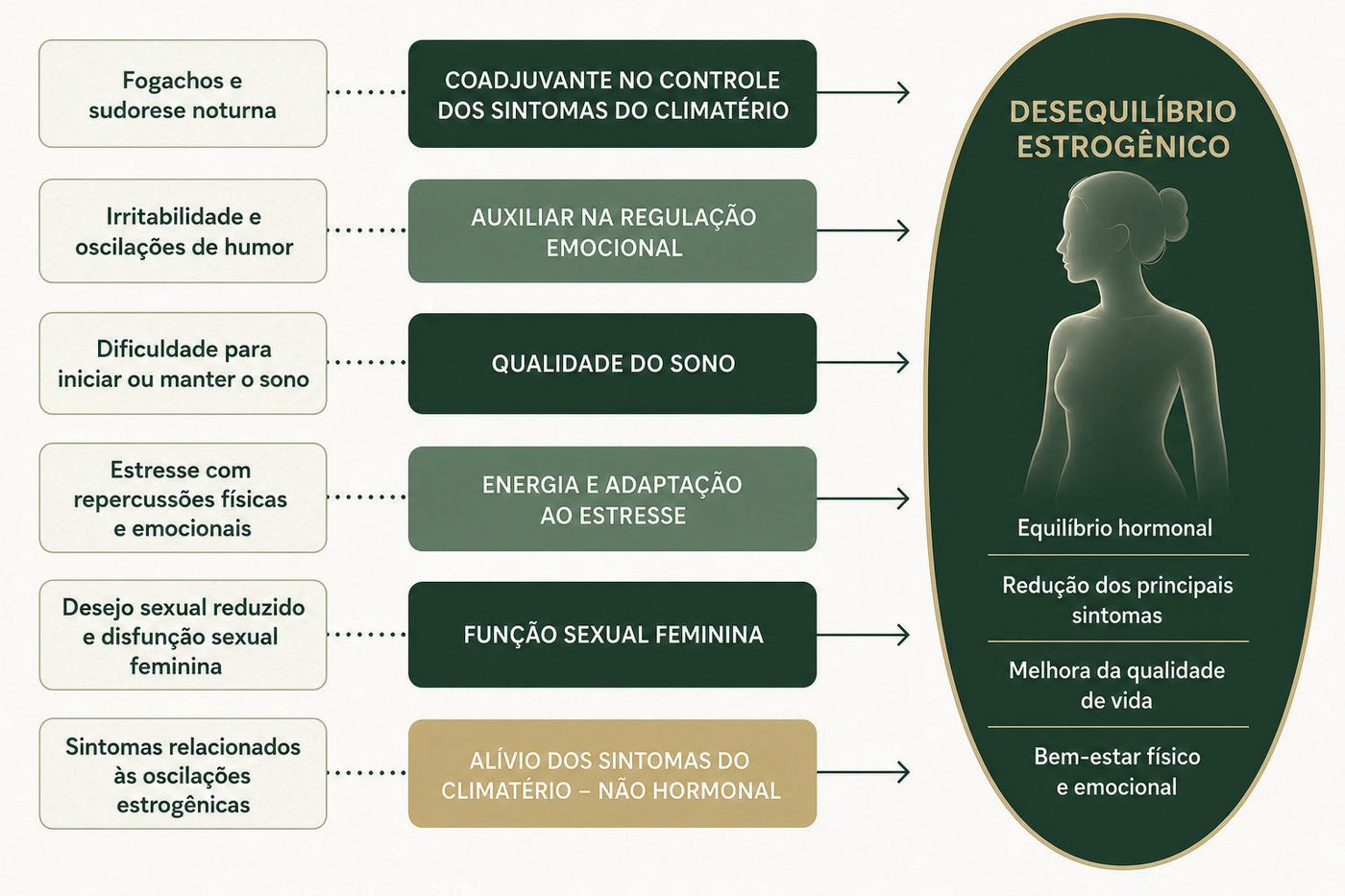 Figura 1: fogachos e sudorese noturna (coadjuvante no controle dos sintomas), irritabilidade e oscilações de humor (regulação emocional), dificuldade para dormir (qualidade do sono), estresse (energia e adaptação), desejo sexual reduzido (função sexual feminina) e sintomas das oscilações estrogênicas (alívio não hormonal) convergem para o desequilíbrio estrogênico; objetivos: equilíbrio hormonal, redução dos sintomas, qualidade de vida e bem-estar físico e emocional